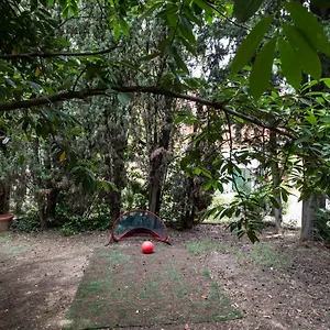  Appartement Vatican Quiet With Garden & Parking